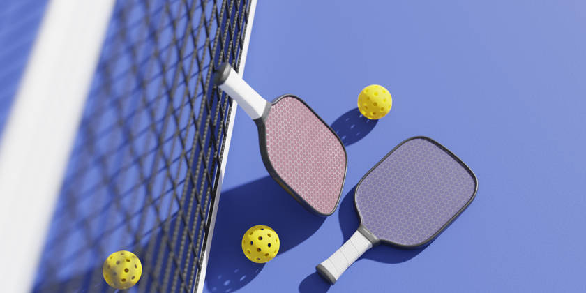 Pickleball rackets en net