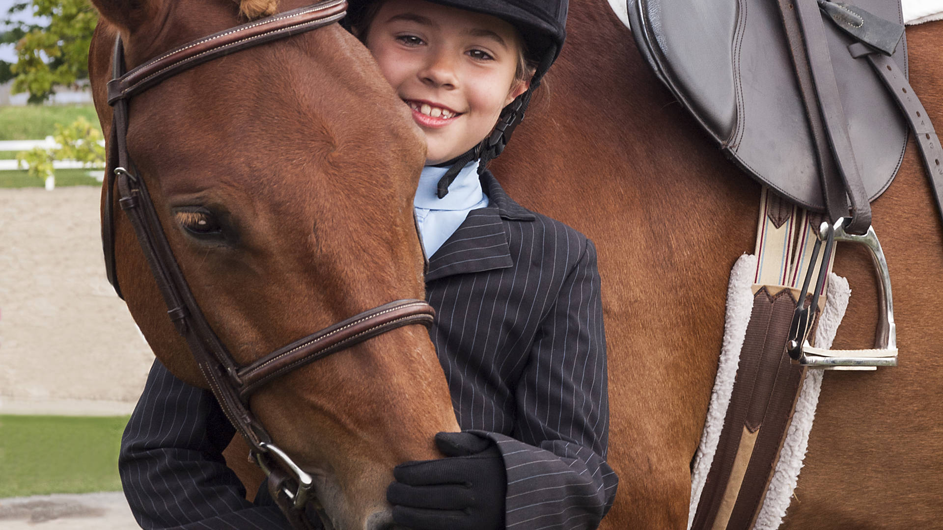 Ruiter naast paard