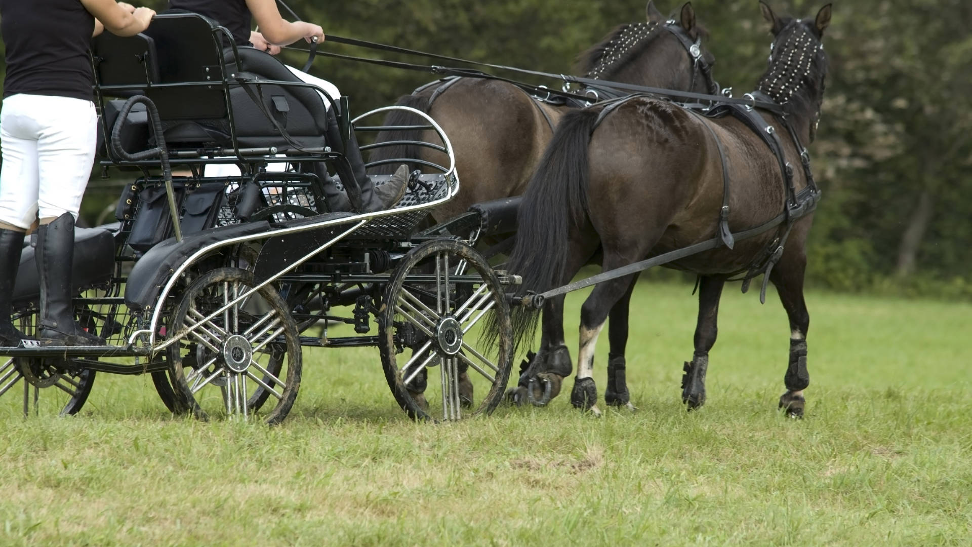 Paard en koets