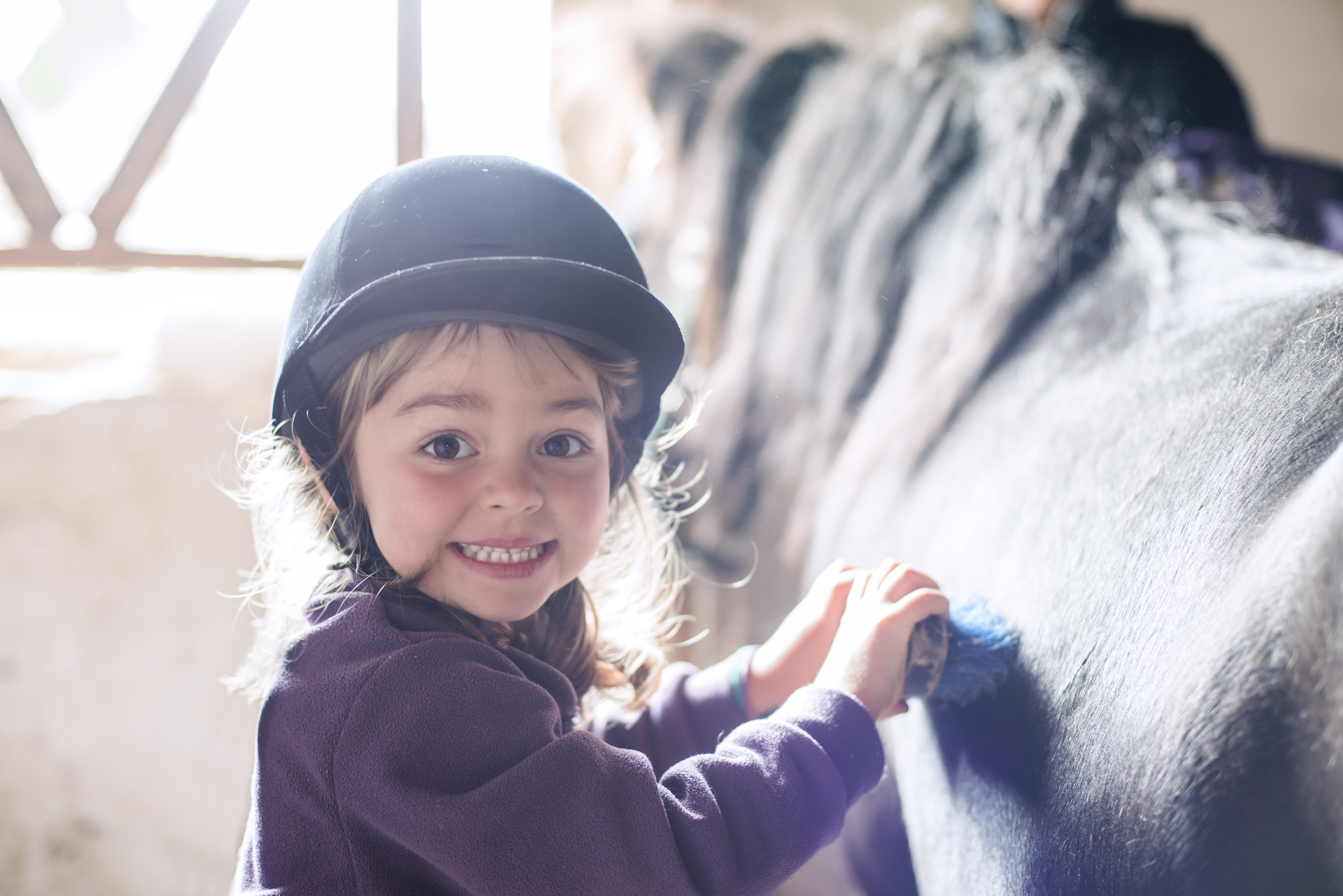 kind kamt pony