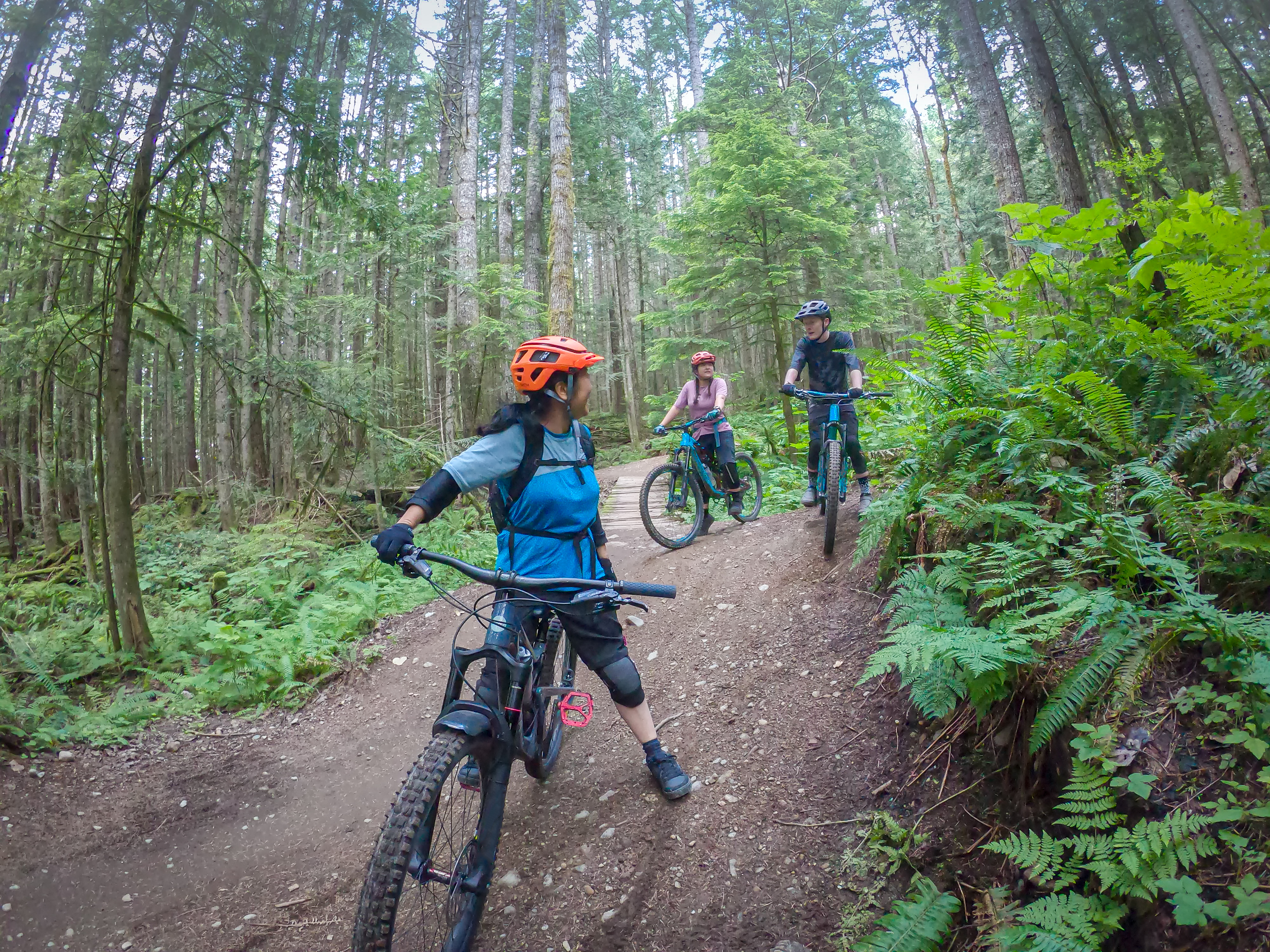 Kinderen rijden met mountainbikefiets door het bos