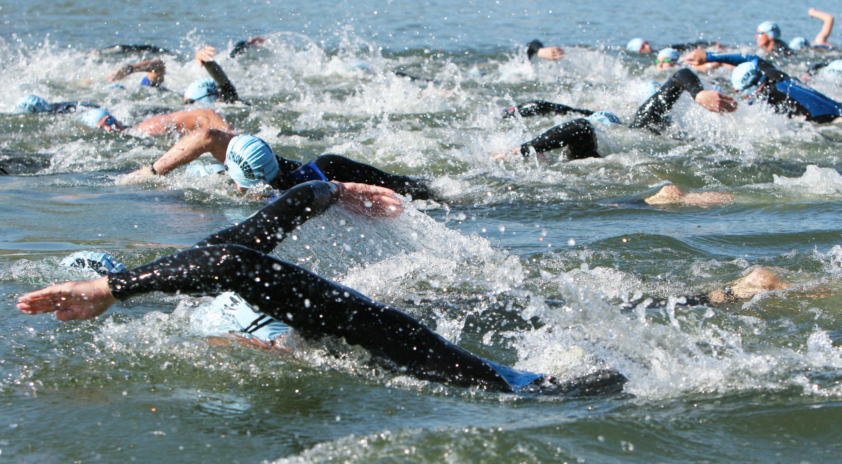 Zwemmers in open water