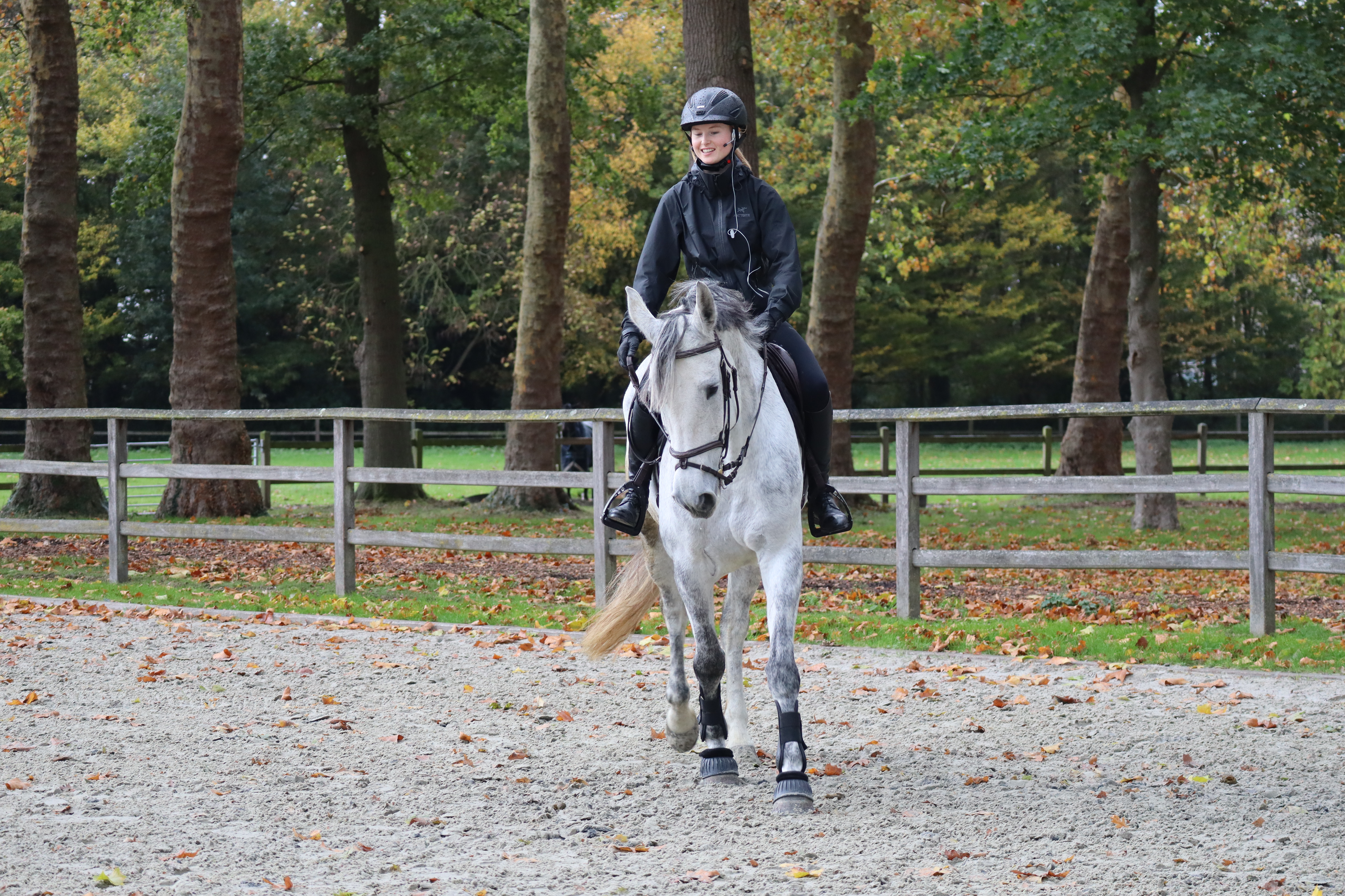 2025 - WAREGEM - Tweedaagse Eventingstage herfst