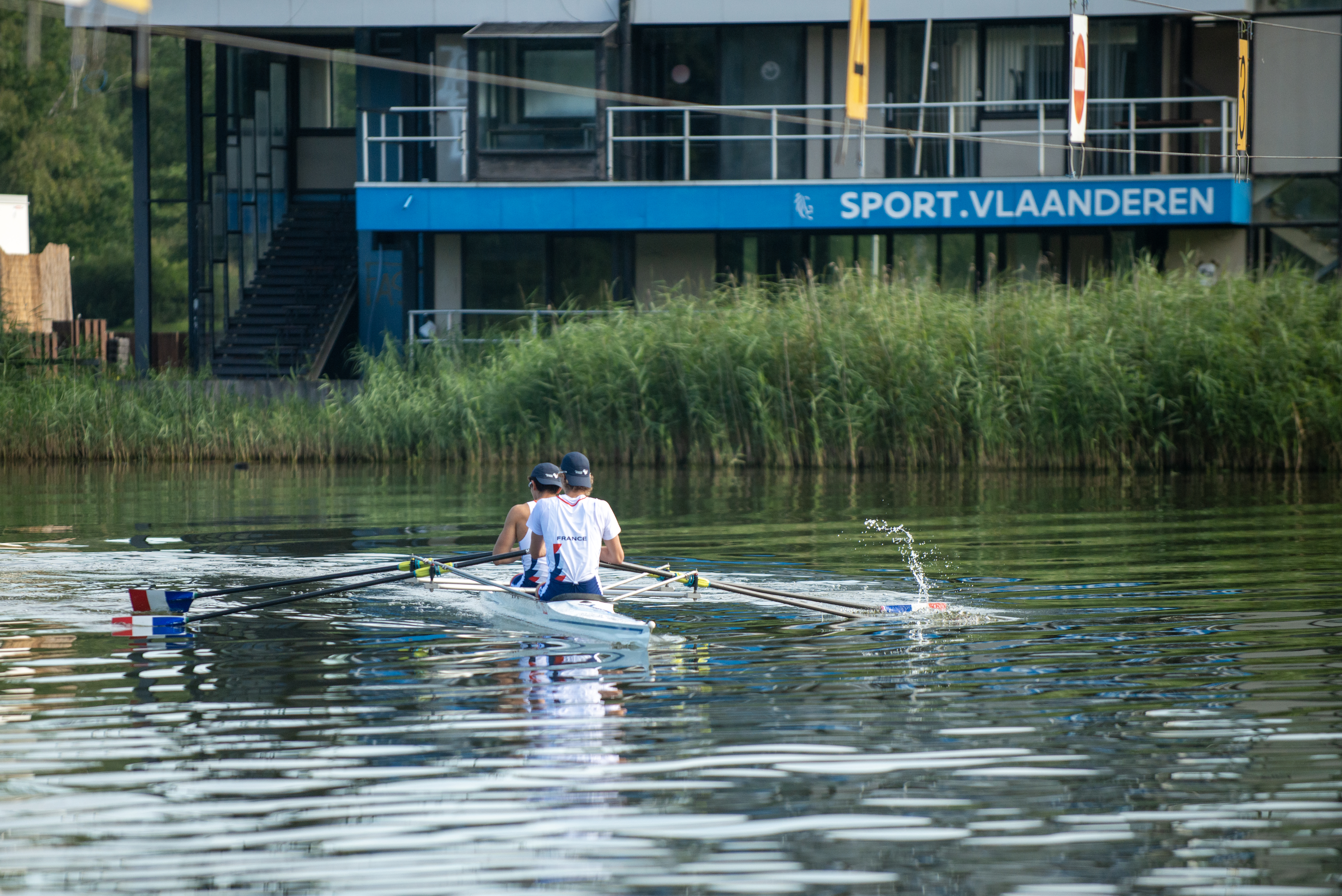 Algemeen beeld van roeiers op het water in Willebroek.